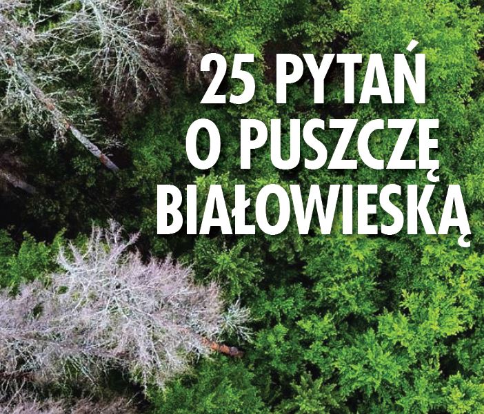 Puszcza Białowieska w pytaniach i odpowiedziach