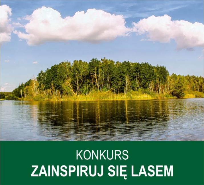 Zainspiruj się lasem - Nowe hasło - nr 3