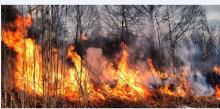 Chrońmy las przed pożarem !!!