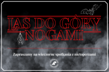 Zobacz “Las do góry nogami”. Leśnicy zapraszają na wieczory z nietoperzami.